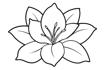 Azalea flower silhouette vector, Azalea silhouette, Azalea silhouette black clipart