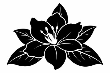 Azalea Vector Silhouette, Azalea flower silhouette clipart isolated on a white background