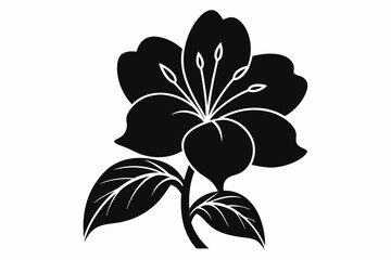 Azalea flower silhouette vector, Azalea silhouette, Azalea silhouette black clipart