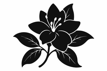 Azalea flower silhouette vector, Azalea silhouette, Azalea silhouette black clipart