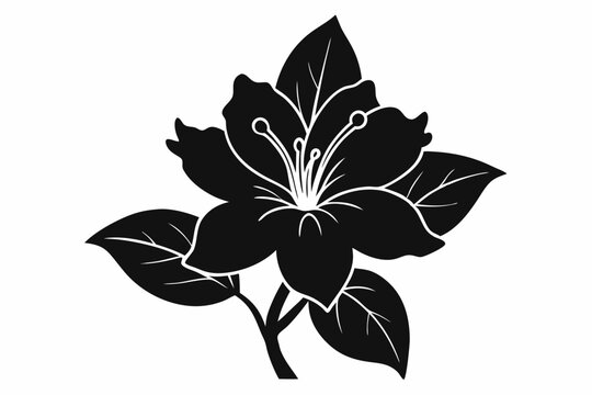 Azalea flower silhouette vector, Azalea silhouette, Azalea silhouette black clipart