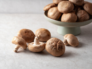 Mushrooms in a mushroom pile	
