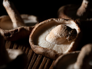 Mushrooms in a mushroom pile	