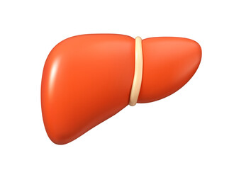 Liver vector 3d icon. Human organ cute cartoon illustration, isolated on white background. Simple design element, metabolism concept