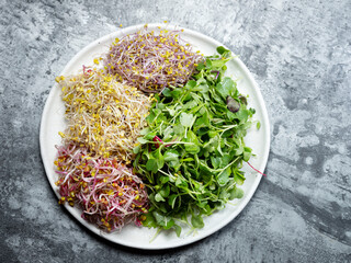 Variety of sprouts on a tray