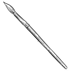 paint brush handdrawn illustration