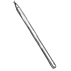 pencil handdrawn illustration