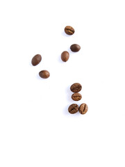 Coffee bean isolated on white background