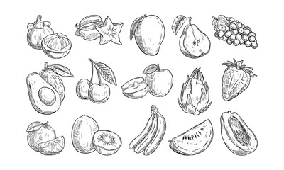 fruits handdrawn collection