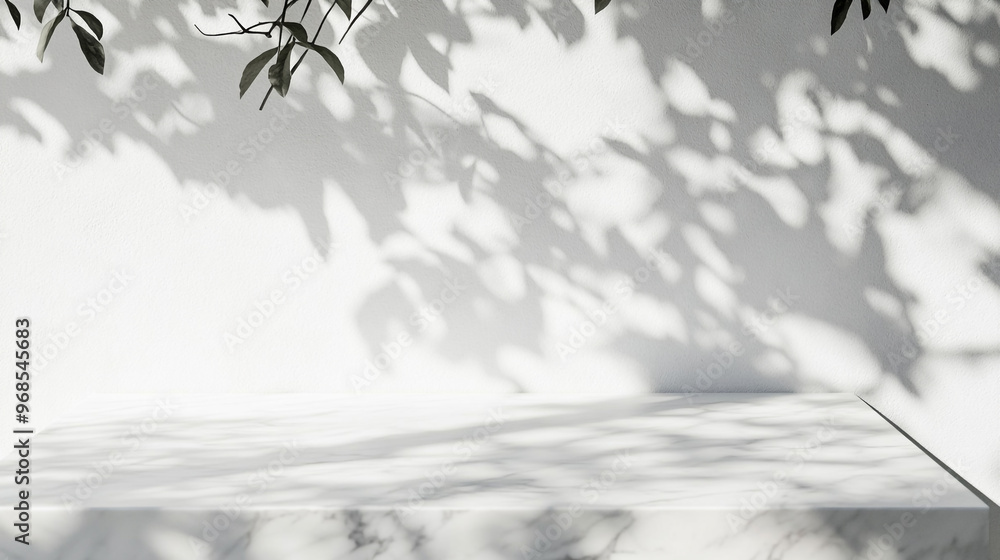 Poster soft shadows from leaves create intricate patterns on a minimalist white surface during bright dayli