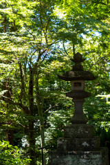 鎌倉2409　妙本寺2　木漏れ日