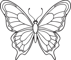 butterfly line art vector