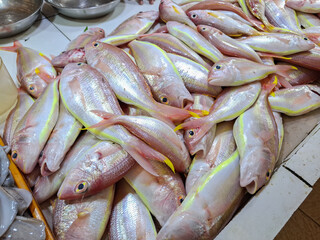 Kurisi fish (Nemipterus nematophorus) is a type of demersal fish that is easily available in traditional markets.