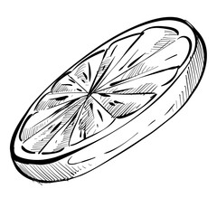 lemon handdrawn illustration