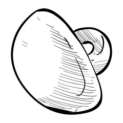 shirt buttons handdrawn illustration