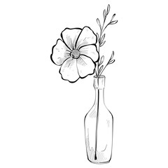 vase flower handdrawn illustration