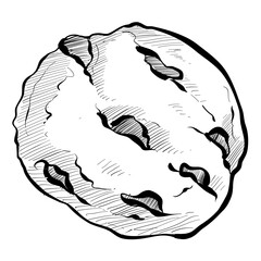biscuits handdrawn illustration