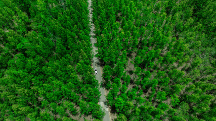 Aerial view of dark green forest road and white electric car Natural landscape and elevated roads...