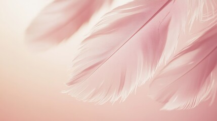Naklejka premium Close-up of pink feathers in soft