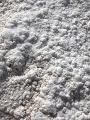 Salt on Death Valley floor