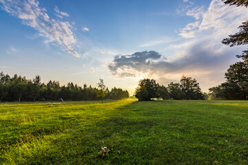 Obraz premium A large field of grass with a few trees in the background