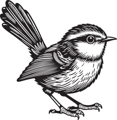 Bird silhouette vector illustration,