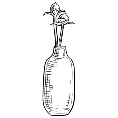 flower vase decoration handdrawn illustration