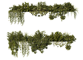 3d render of many kinds of ivy on transparent background.