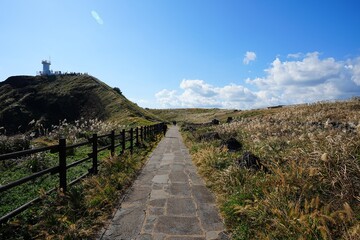 seaside walkway to white lighthouse