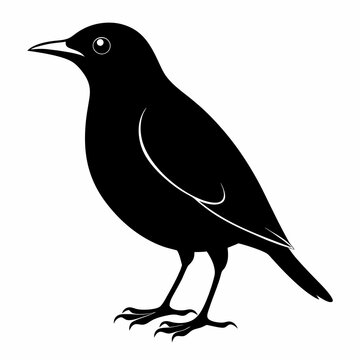 recommend clip art: Starling Black silhouette