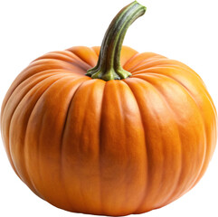 jack o lanterns, halloween pumpkin isolated