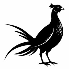 Pheasant Black silhouette