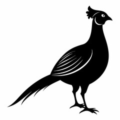Pheasant Black silhouette