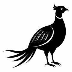 Pheasant Black silhouette