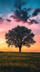 Fototapeta premium Solitary tree silhouette against vibrant sunset sky