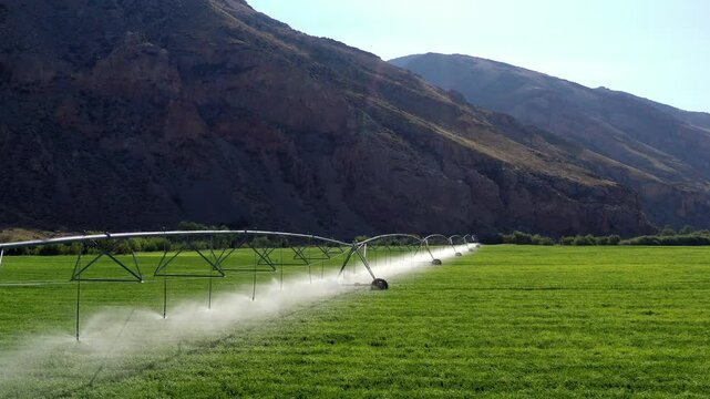 Aerial pushing down a row of sprinklers that are watering a field with a mountain in the background.