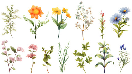 flower isolated floral nature plant spring leaf background summer generative Ai.