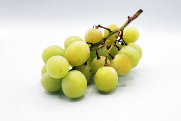 シャインマスカット／Shine Muscat／샤인 무스카트