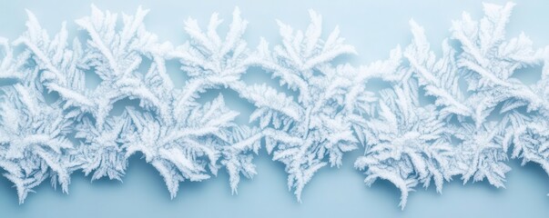 Close-up of intricate frost patterns on window