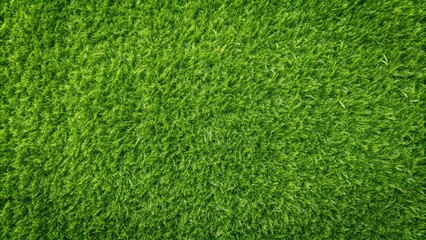 Obraz premium Flat lay background of artificial green grass texture, perfect for summer designs and nature themes