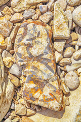 Palaeontology. Triassic argillaceous slate; bury. Fossil of habitat traces of animals. Burrow -...