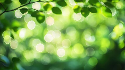 Obraz premium Blurred green bokeh background with soft, out-of-focus circular light patterns, evoking a natural, peaceful environment.