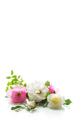 wooden light background with white and pink roses