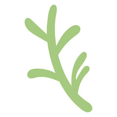 ラフな黄緑の植物イラスト⭐︎PNG