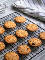 Freshly baked oatmeal cookies cooling on a black wire rack, with a light background and soft natural lighting. The cookies are golden brown with hints of raisins and a crispy texture, creating a cozy