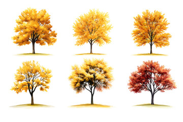 Fototapeta premium Yellow trees set isolated on white background