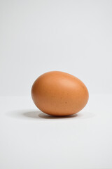One chicken egg isolated on white background. Potrait photo.
