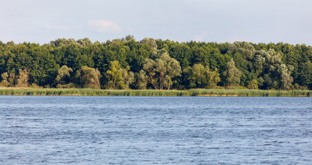 Green trees on the horizon on the lake shore