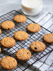 Freshly baked oatmeal cookies cooling on a black wire rack, with a light background and soft natural lighting. The cookies are golden brown with hints of raisins and a crispy texture, creating a cozy