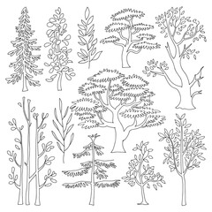 Tree sketch Collection in Various Shapes